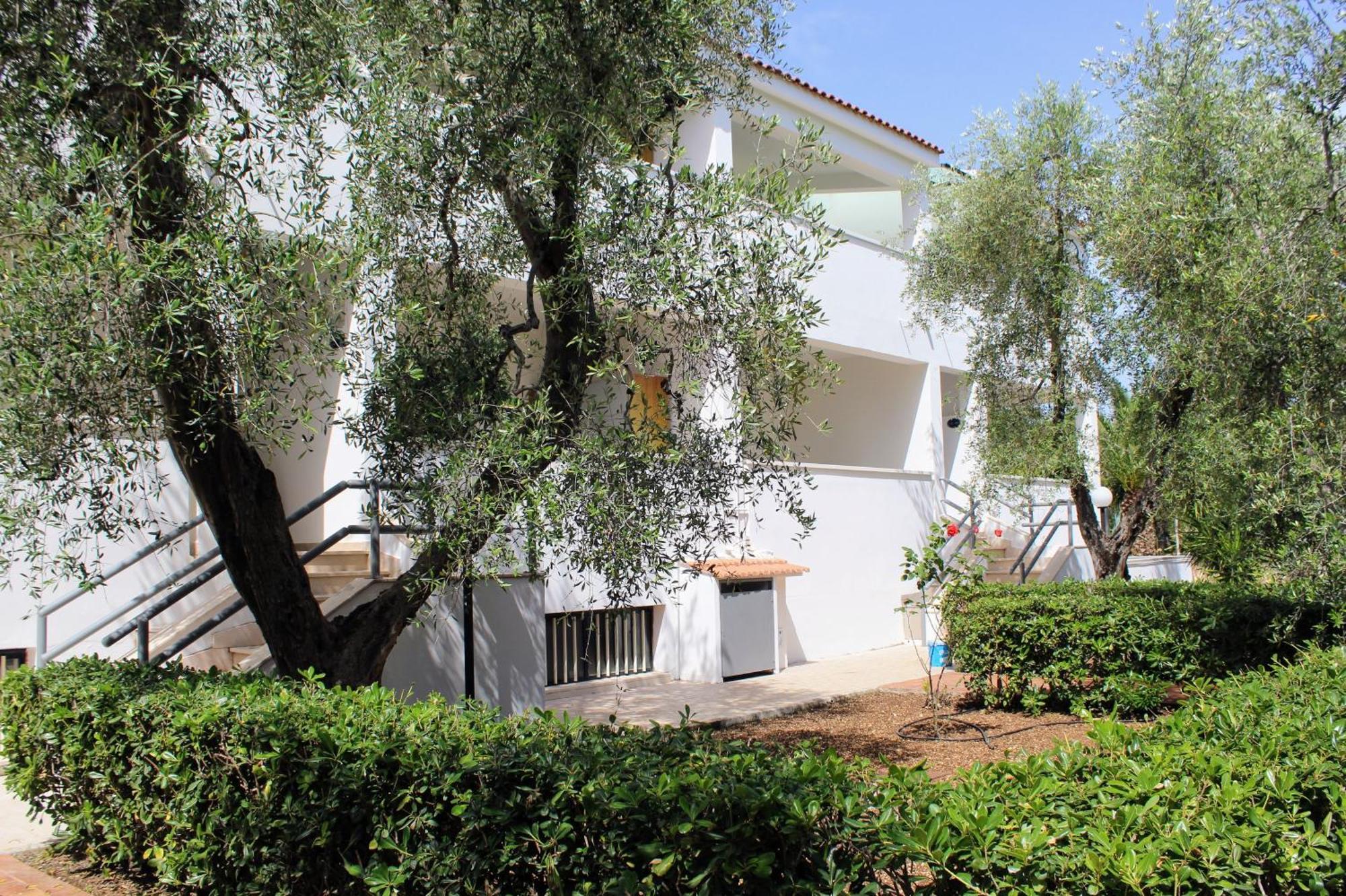 ויאסטה Hotel Palme Gemelle מראה חיצוני תמונה